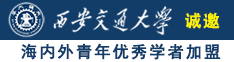 免费插插片诚邀海内外青年优秀学者加盟西安交通大学